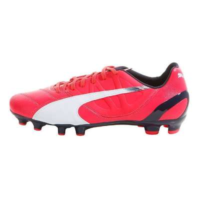 Puma evoSpeed 3.3 FG Rot